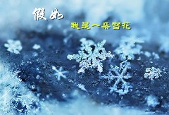 假如我是一朵雪花800字想象作文 假如我是一朵雪花800字想象作文