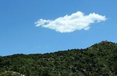 我是一片云作文 我是一片云作文