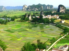 春天的田野作文 春天的田野作文