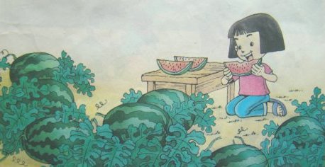 一年級看圖寫話吃西瓜 一年級看圖寫話吃西瓜