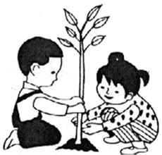 一年級看圖寫話種樹 一年級看圖寫話種樹